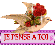 Gif animé je pense à toi oiseau